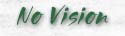 No Vision